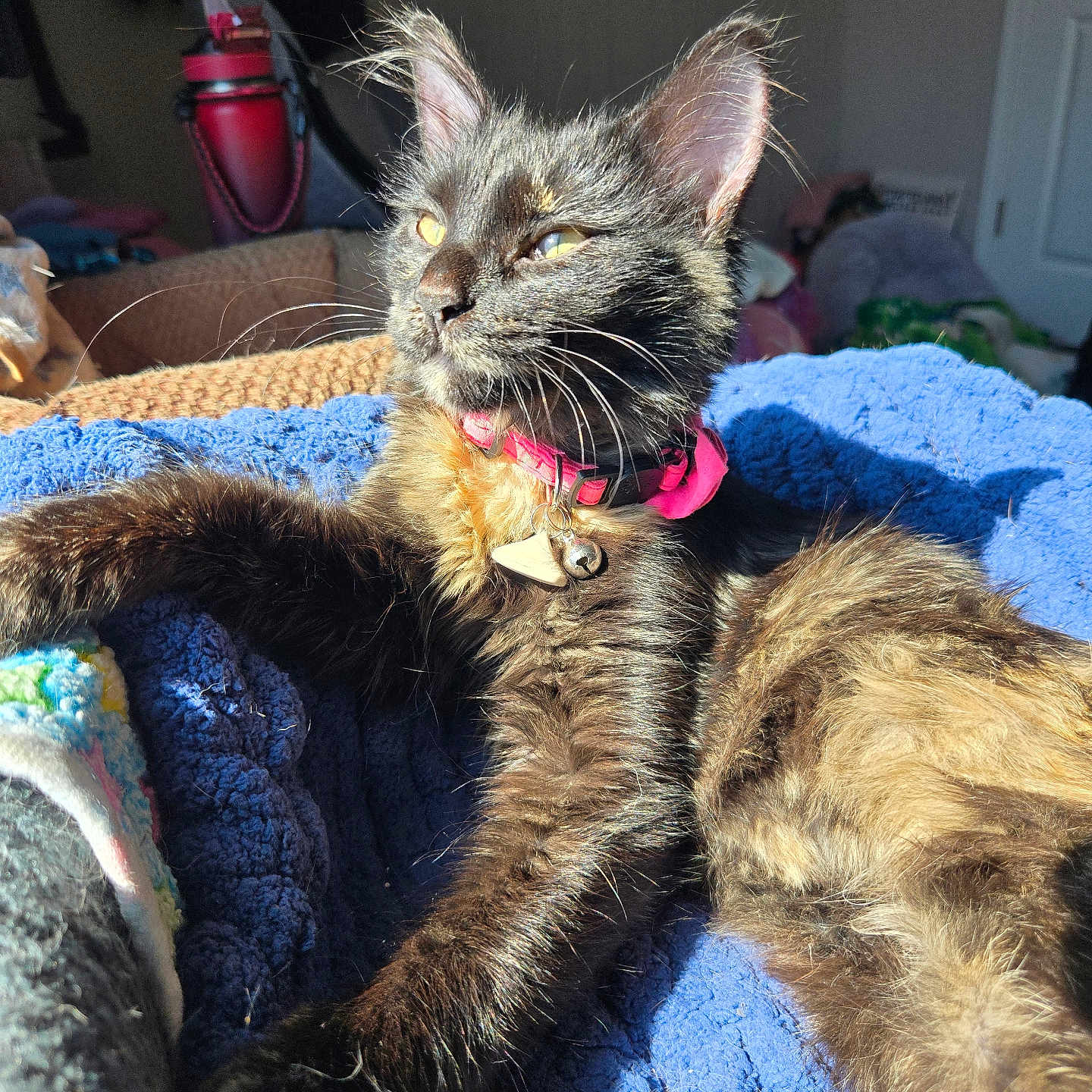 Suki