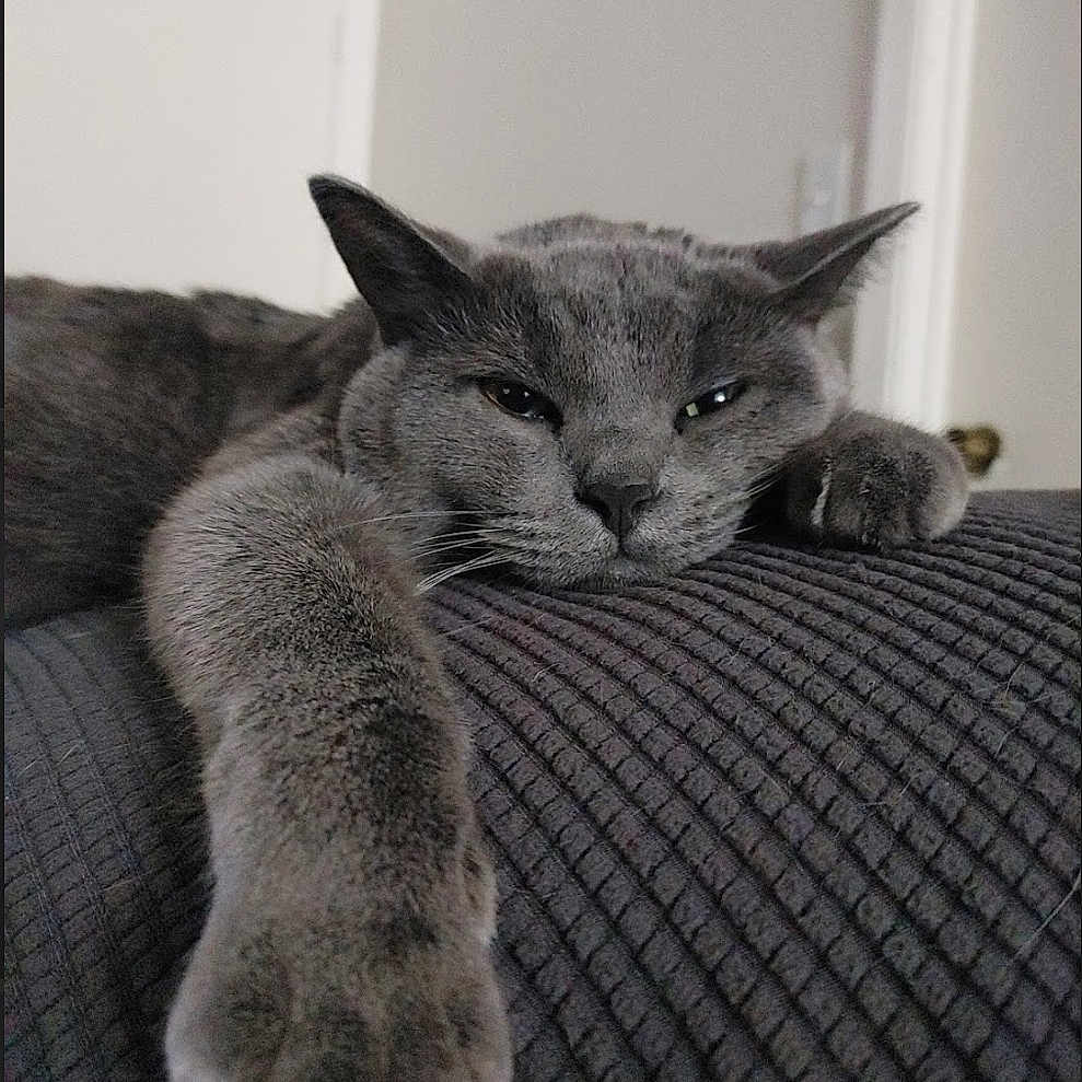 Sokka