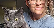 Sokka is registered to the contest to win money with this photo: blue_sweater, casual, cat, closeup, companion, couch, cozy, domestic_animal, feline, friendly, glasses, gray_cat, home, indoor, pet, portrait, relaxed, smiling, woman, yellow_eyes