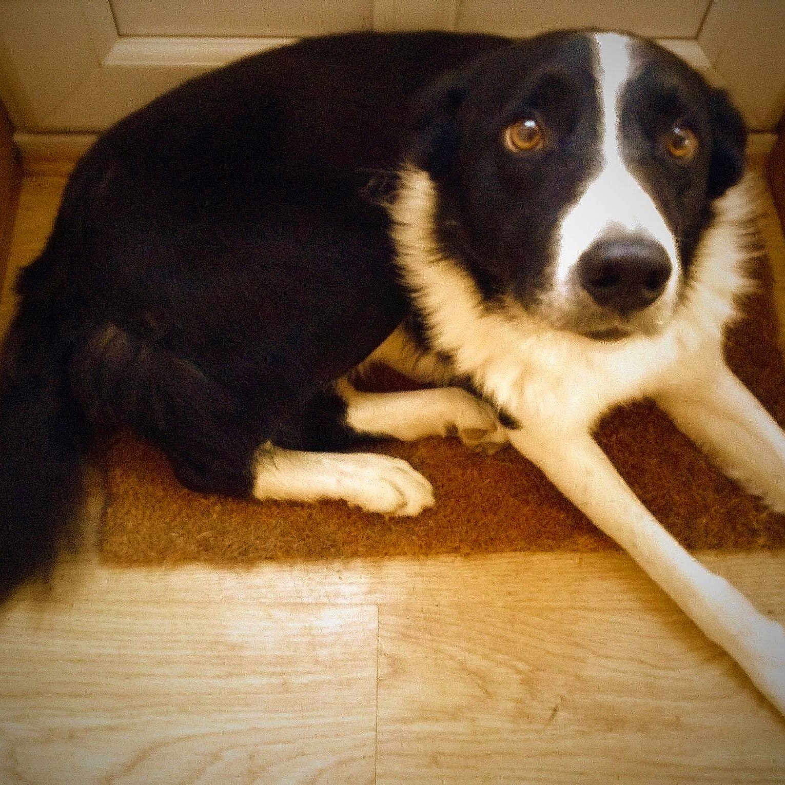 Bryn is registered to the contest to win money with this photo:
