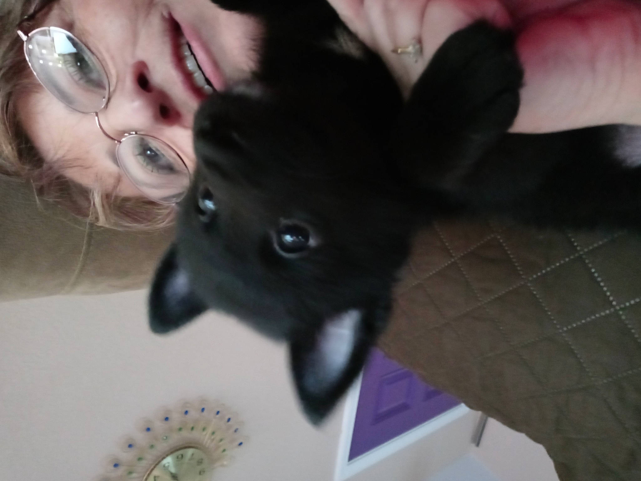 Roxy is registered to the contest to win money with this photo: beard, dog_breed, ear, eye, eyelash, eyewear, fawn, felidae, finger, gesture, glasses, hand, happy, human_body, jaw, long_hair, small_to_medium_sized_cats, snout, vision_care, whiskers