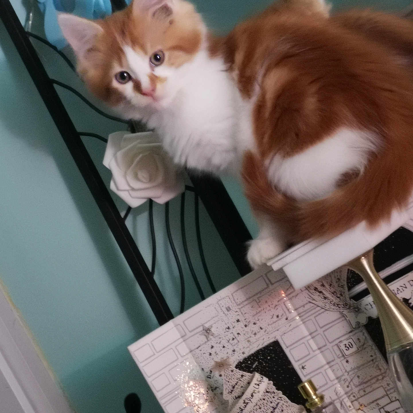Mimy