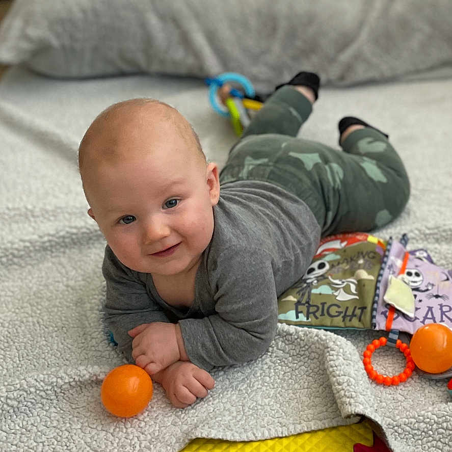 Lachlan is registered to the contest to win money with this photo: animal, baby, bodypart, canine, citrusfruit, couch, crawling, dog, face, finger, food, fruit, furniture, grapefruit, hand, head, person, pet, photography, portrait