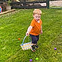 Ryland is registered to the contest to win money with this photo: child, boy, grass, basket, easter_eggs, outdoor, greenery, fence, orange_shirt, shorts, shoes, playful, spring, holiday, nature, garden, toy, happy, daylight, casual
