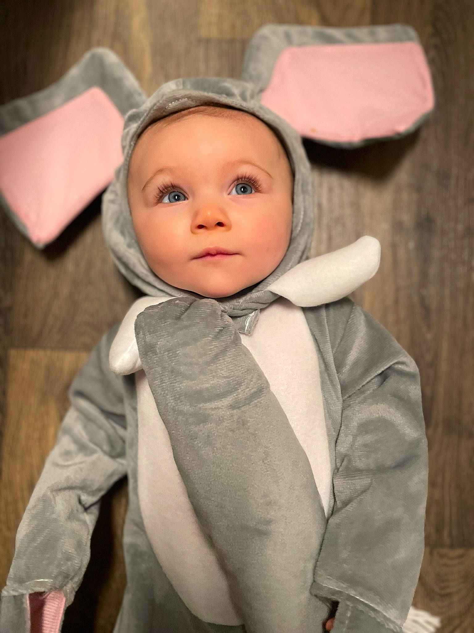 Annaka is registered to the contest to win money with this photo: baby, baby_toddler_clothing, cheek, collar, comfort, dress_shirt, eyelash, fashion_accessory, flash_photography, formal_wear, fun, fur, happy, iris, linens, lip, nose, person, sleeve, toddler