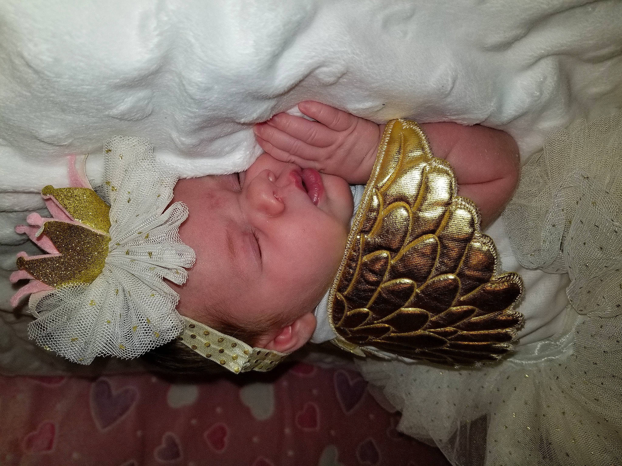 Journei joined the competition — help win amazing prizes! child, fictional_character, headwear, person, plant, ritual