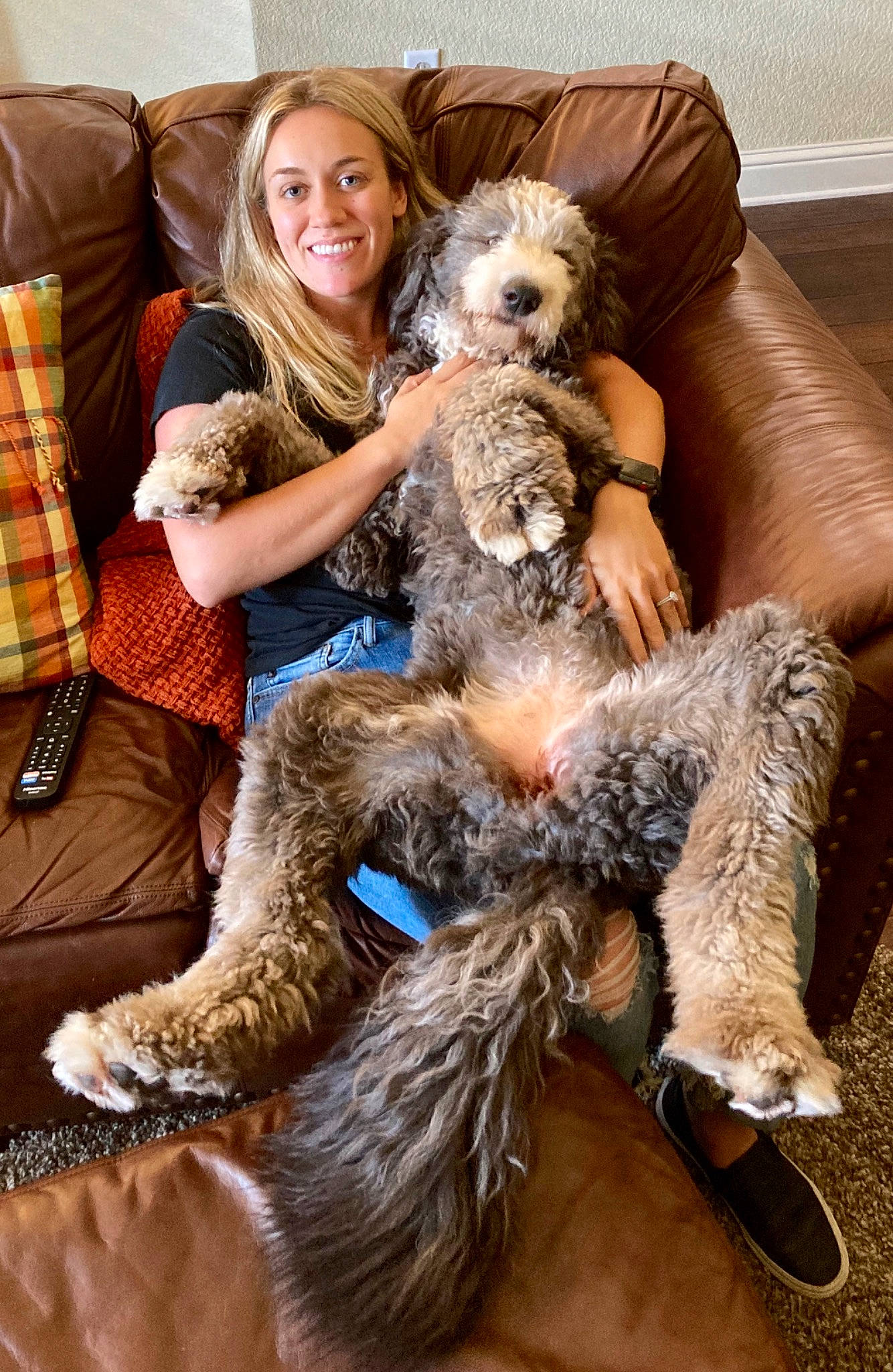 Ellie joined the competition — help win amazing prizes! canidae, carnivore, companion_dog, dog, dog_breed, fur, goldendoodle, labradoodle, mammal, otterhound, petit_basset_griffon_vendeen, poodle_crossbreed, sporting_group, standard_poodle, terrier, tibetan_terrier, vertebrate