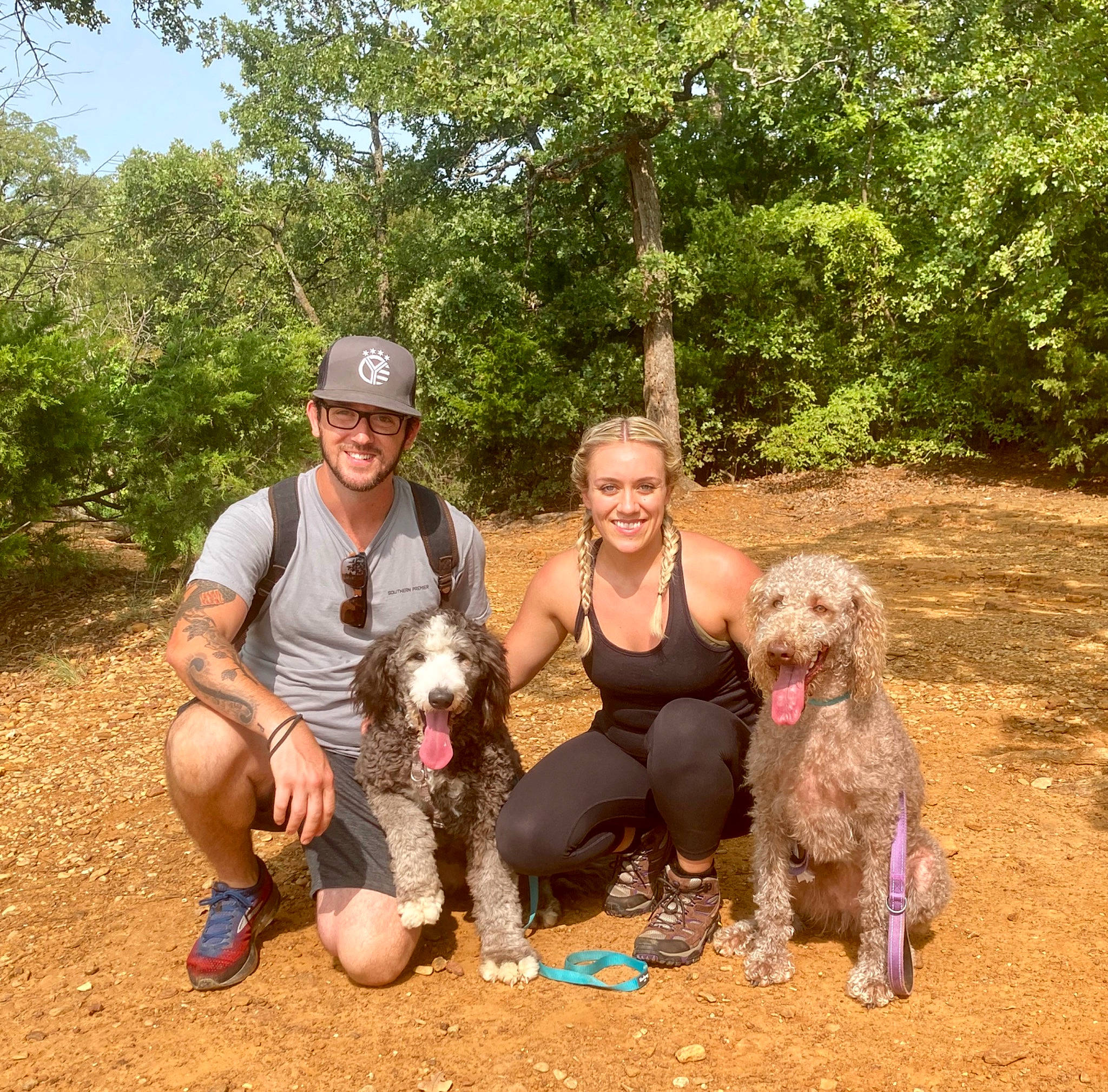 Ellie is registered to the contest to win money with this photo: canidae, carnivore, dog, dog_breed, dog_walking, german_longhaired_pointer, hunting_dog, irish_wolfhound, mammal, slovakian_rough_haired_pointer, sporting_group, vertebrate, weimaraner