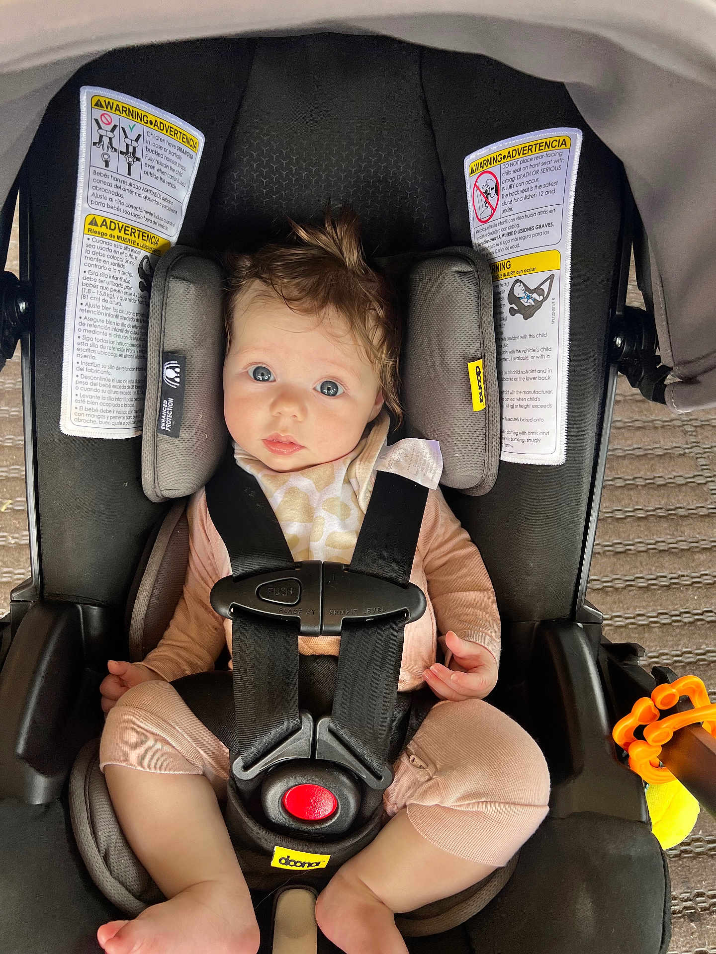 Presley is registered to the contest to win money with this photo: baby, car_seat, child, infant, straps, warning_labels, toy, pink_clothing, blue_eyes, hair, seatbelt, safety, indoors, car_seat_cushion, red_button, curious_expression, skin, foot, hand, closeup