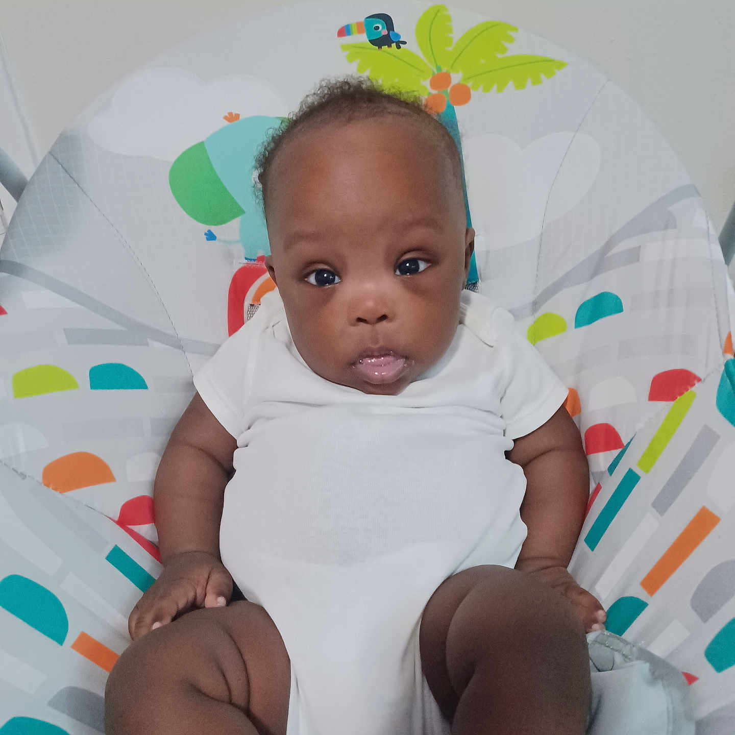 Keishawn joined the competition — help win amazing prizes! animal_print, baby, baby_chair, child, chubby, colorful, curious, cute, face, hands, indoor, infant, legs, looking, nature_print, onesie, portrait, seated, soft_lighting, young_child