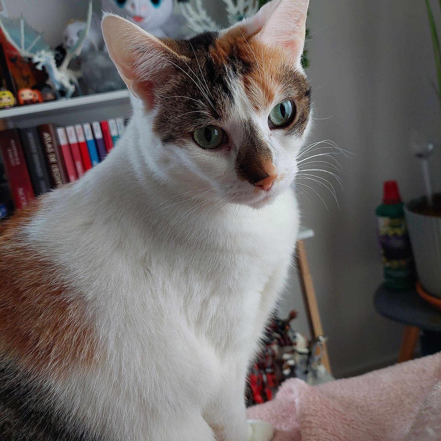 Tina