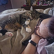 Cup Cake joined the competition — help win amazing prizes! bed, blanket, cat, clutter, comfort, cozy, dresser, face, feline, glasses, home, indoor, paw, person, personal_items, relaxation, rest, sleeping, smartwatch, tabby_cat