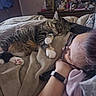 bed, blanket, cat, clutter, comfort, cozy, dresser, face, feline, glasses, home, indoor, paw, person, personal_items, relaxation, rest, sleeping, smartwatch, tabby_cat