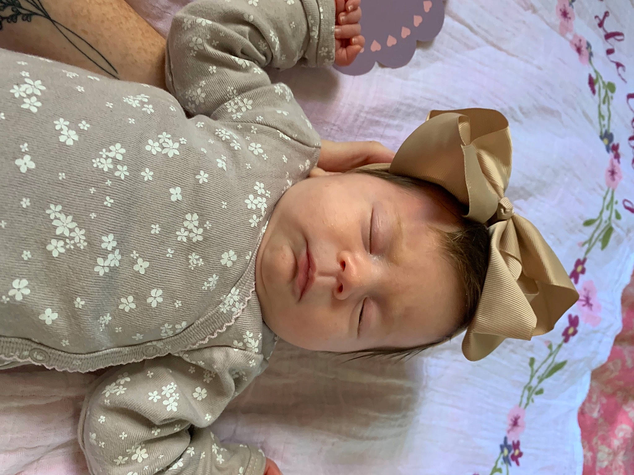 Adley is registered to the contest to win money with this photo: baby, baby_sleeping, bedding, bedtime, child, comfort, gesture, glasses, grass, happy, hat, head, headgear, linens, pattern, person, skin, sleeve, toddler, tree