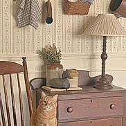 Arlo joined the competition — help win amazing prizes! cat, chair, cozy, decor, dresser, flower_vase, furniture, ginger_cat, hanging_towel, indoor, kitchen_towel, lamp, pottery, rustic, table_lamp, vintage, wallpaper, wooden_chair, wooden_dresser, wooden_duck