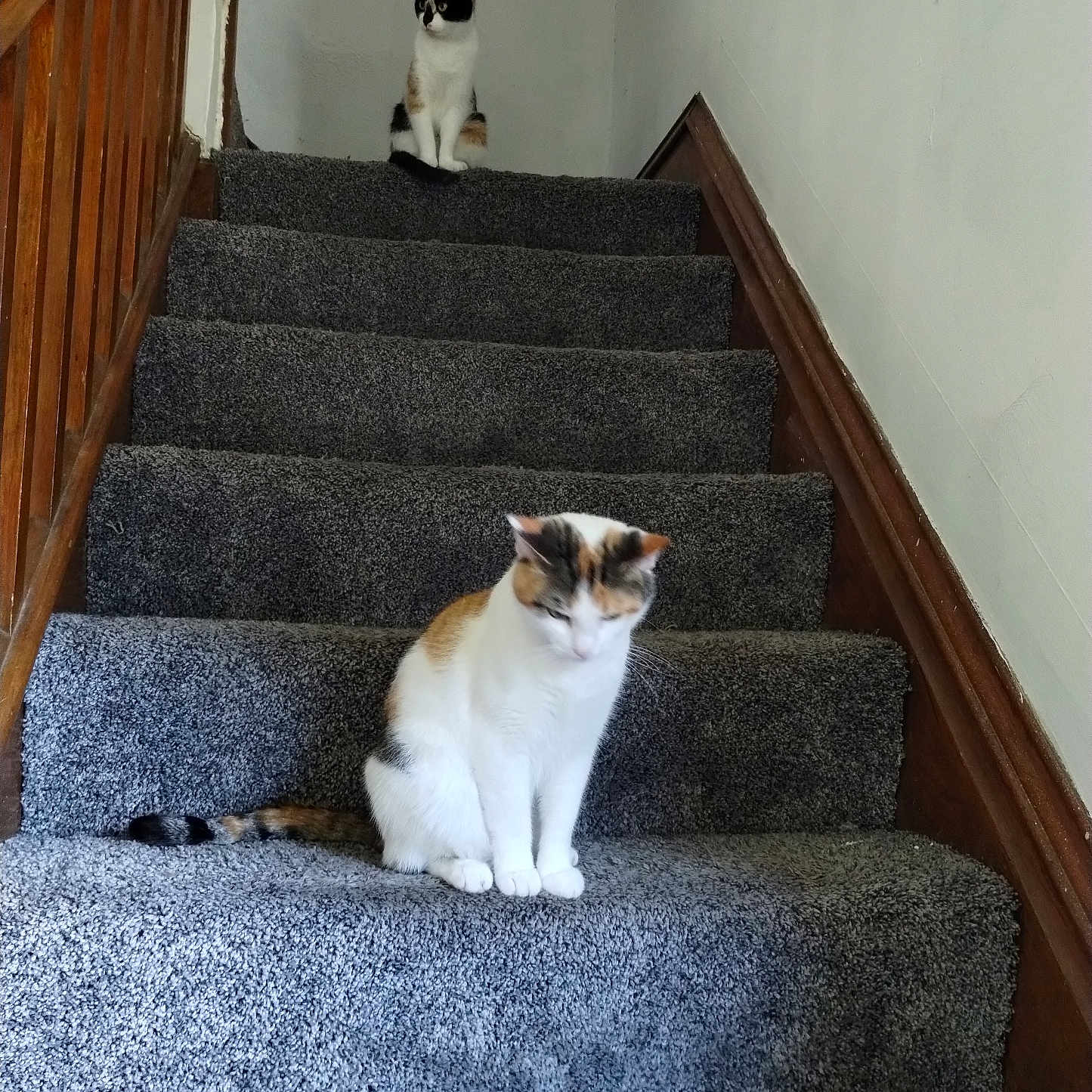 Sugar And Spice