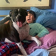 Gunner joined the competition — help win amazing prizes! animal, bed, blanket, blue_wall, boy, casual, comfort, cute, dog, expression, furniture, happy, human, indoor, pet, pillow, plaid_pants, playful, portrait, rest