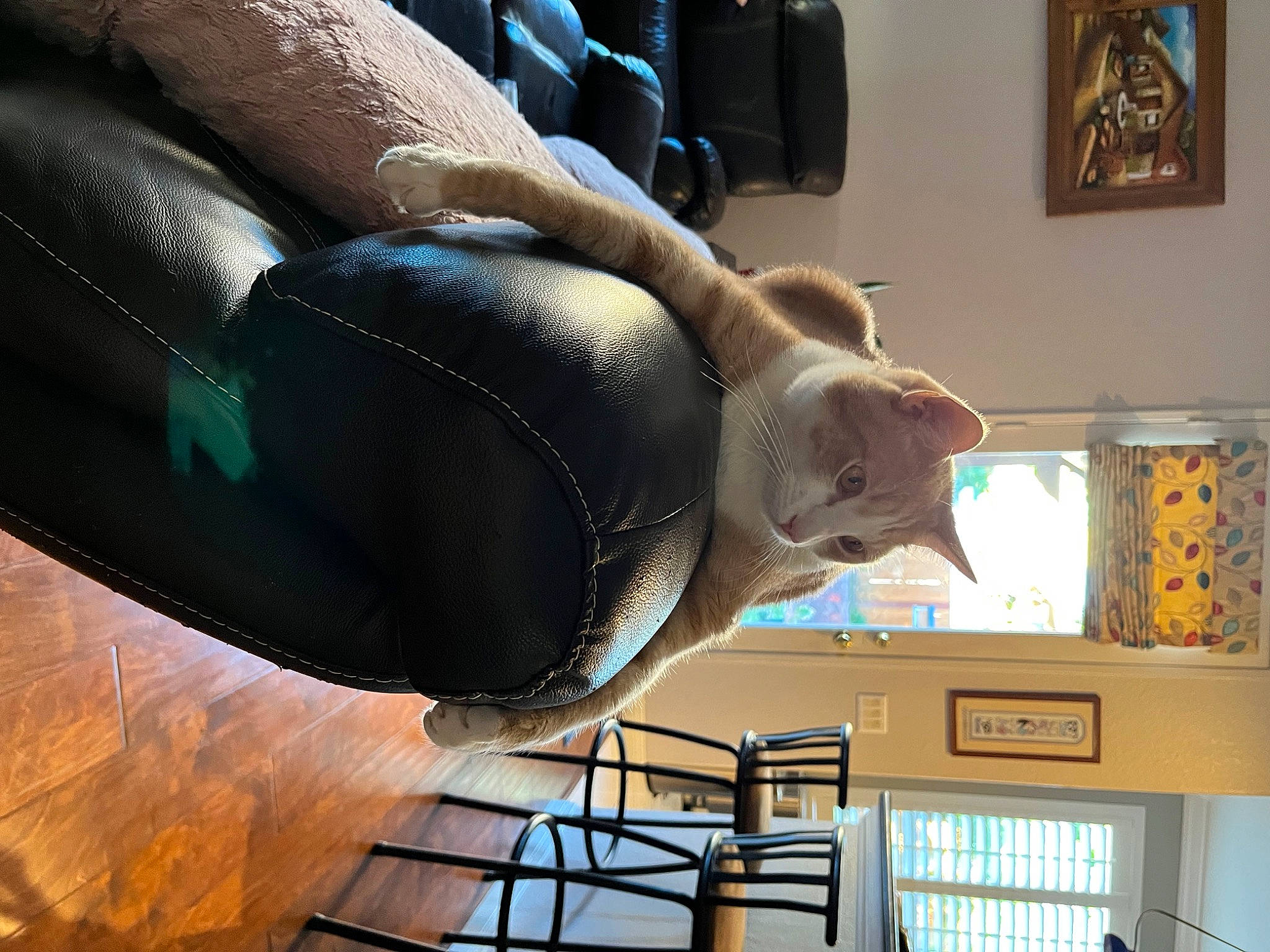 Felix is registered to the contest to win money with this photo: abdomen, art, chest, elbow, flesh, flooring, human_body, human_leg, jaw, knee, metal, picture_frame, room, sculpture, thigh, trunk, visual_arts, waist, wood, wrist