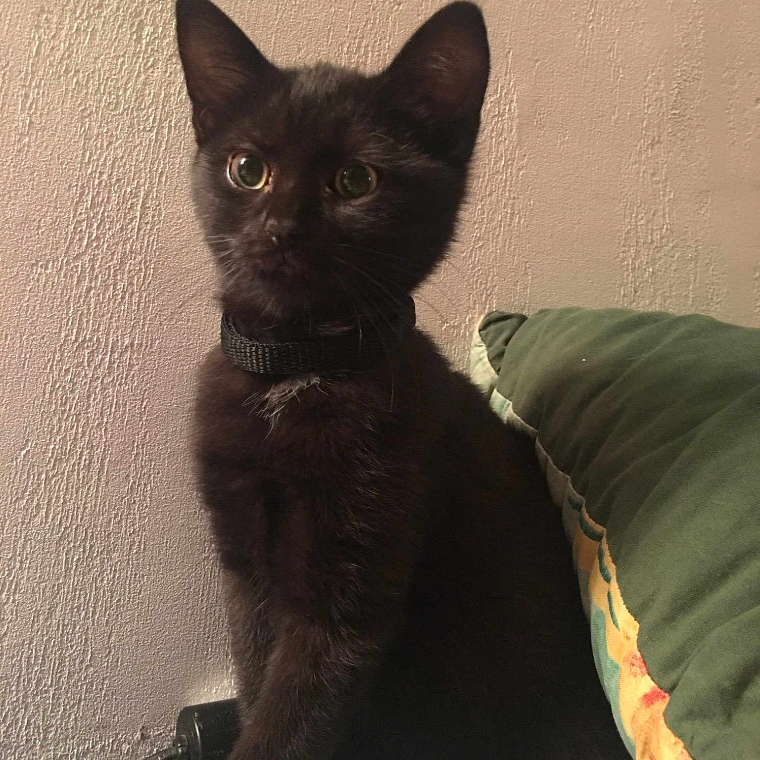 Pocket