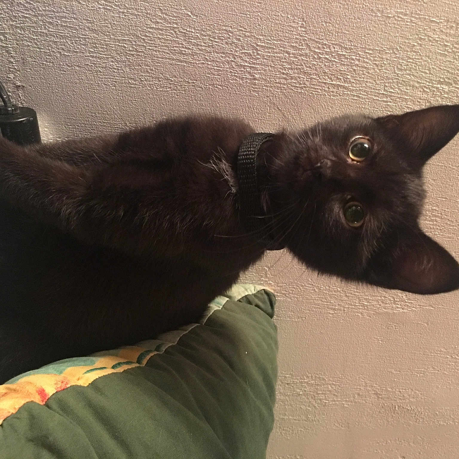 Pocket