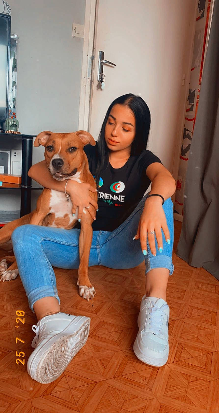 Boyka a rejoint le concours — aidez-le/la à gagner de superbes lots ! canidae, carnivore, companion_dog, dog, dog_breed, fawn