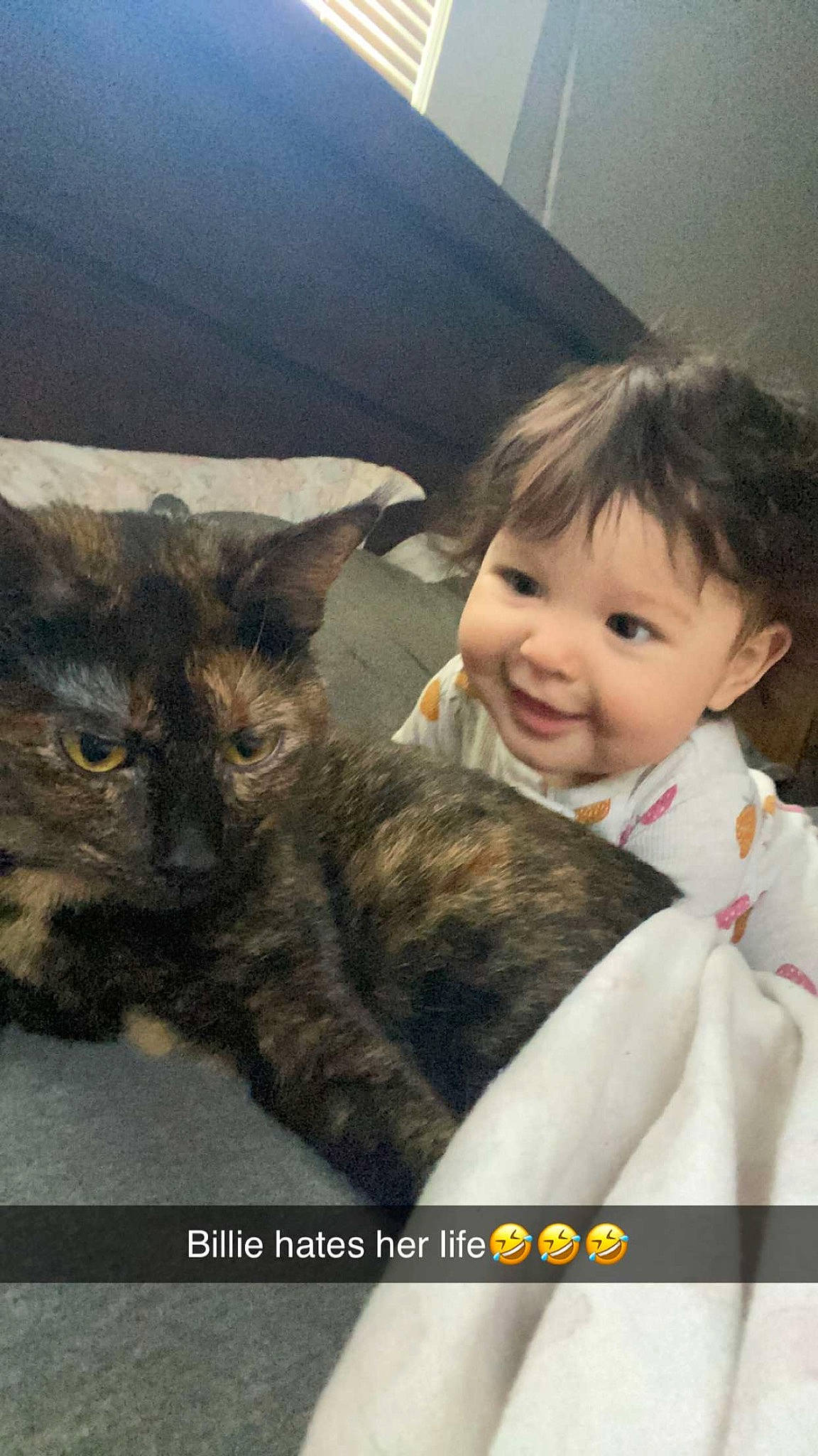 Macie joined the competition — help win amazing prizes! carnivore, cat, child, claw, comfort, domestic_short_haired_cat, felidae, fur, gesture, happy, iris, joy, lap, paw, person, photo_caption, sitting, small_to_medium_sized_cats, smile, toddler