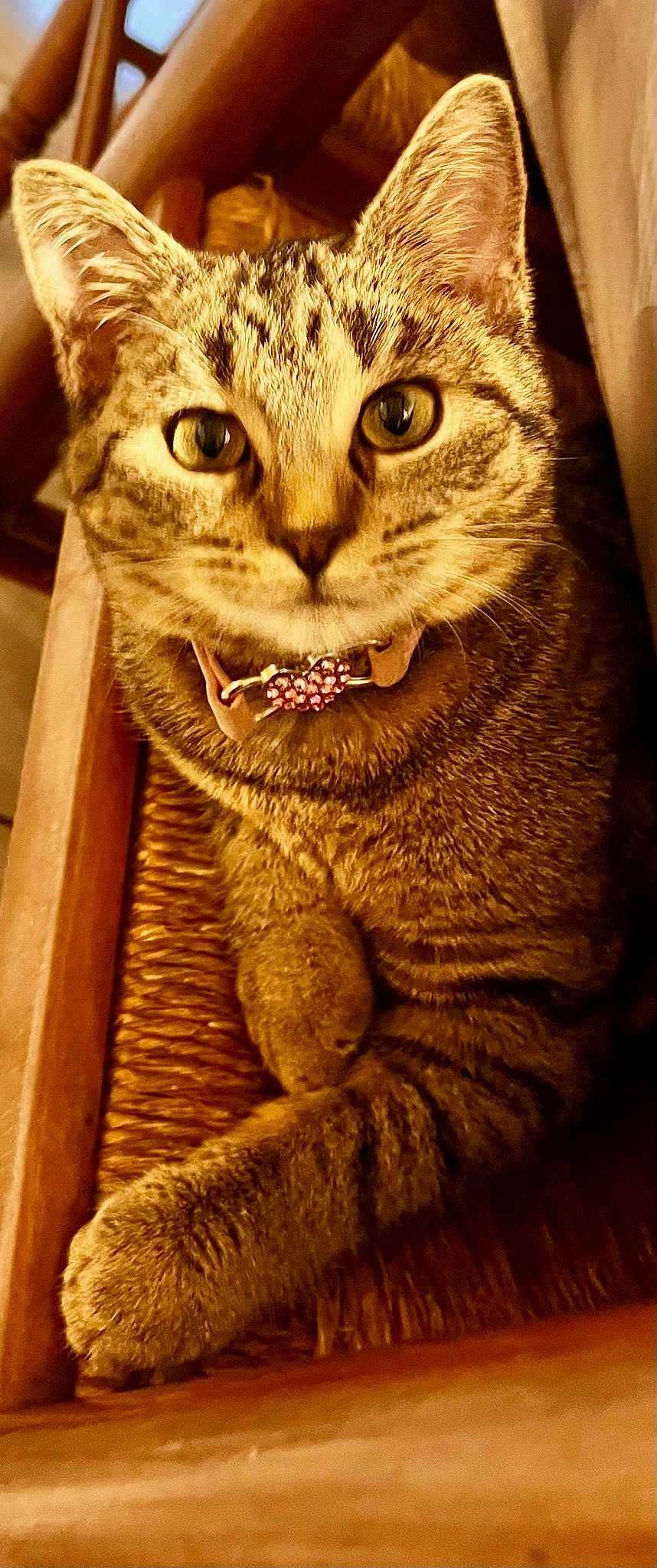 Ma Minette