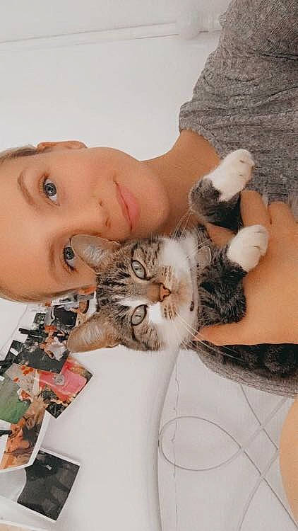 Filoue participe au concours pour gagner de l'argent avec cette photo : black_hair, carnivore, cat, ear, eye, felidae, fur, kitten, nose, skin, small_to_medium_sized_cats, whiskers