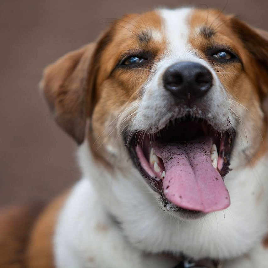 Callie is registered to the contest to win money with this photo: