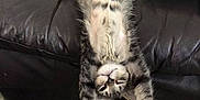 Benny is registered to the contest to win money with this photo: