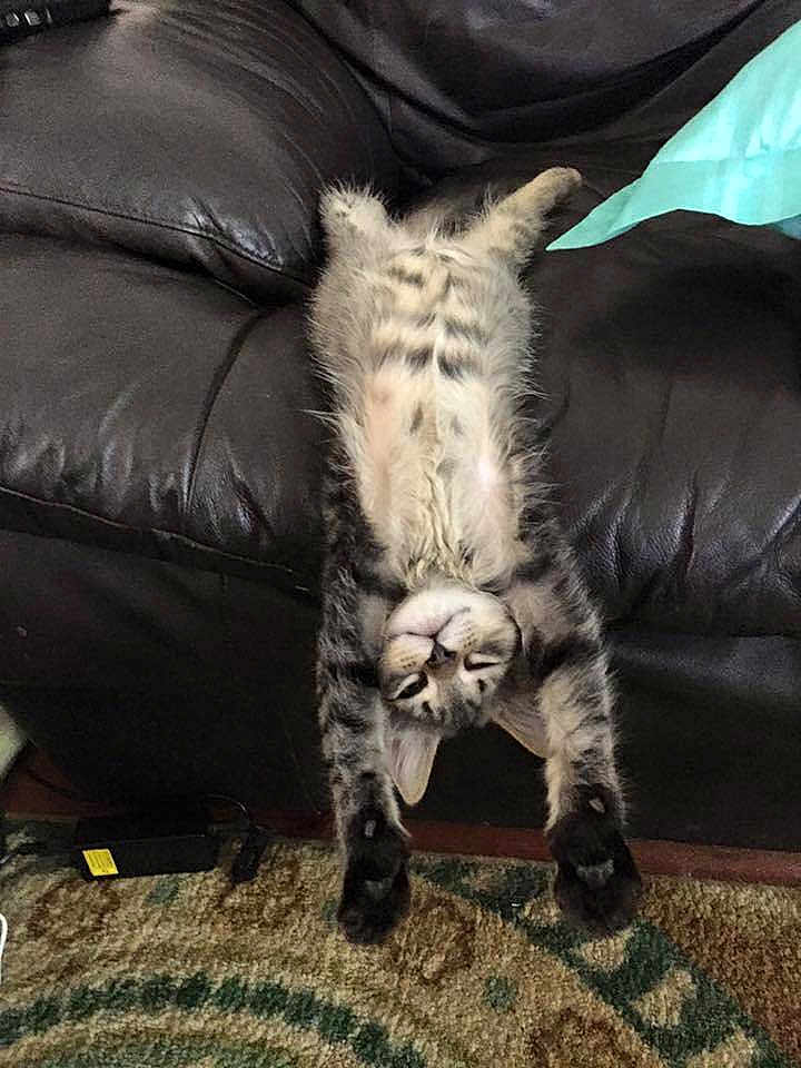 Benny