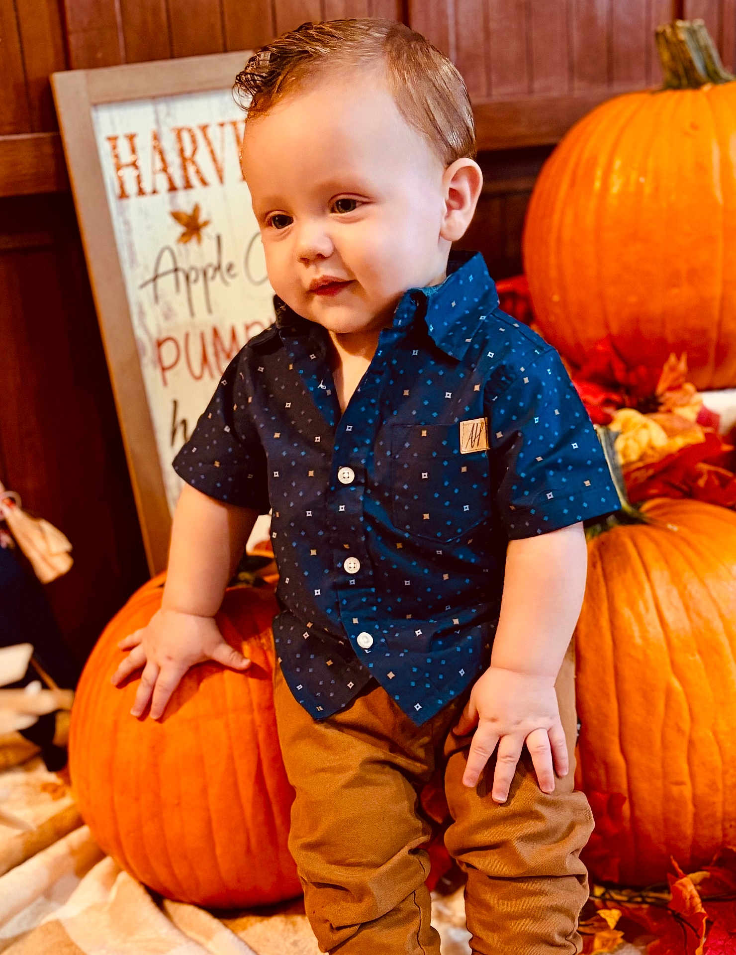 Kallen is registered to the contest to win money with this photo: toddler, child, pumpkin, fall, autumn, seasonal, orange, leaves, clothing, shirt, pants, indoor, decor, sign, cute, portrait, smiling, baby, hand, wood