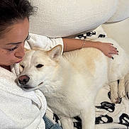 Kaiser is registered to the contest to win money with this photo: woman, dog, white_dog, pet, cuddling, sleeping, bed, blanket, bedroom, indoor, portrait, companion, love, affection, relaxed, fluffy, white_fur, human, tattoo, bracelet