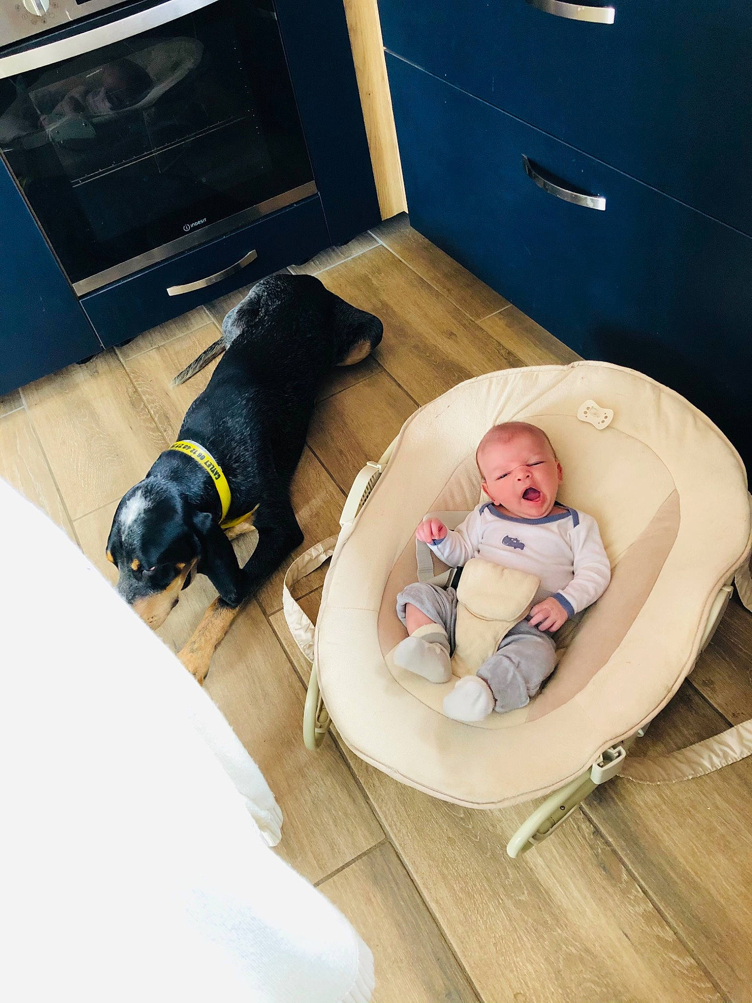 Gabin a rejoint le concours — aidez-le/la à gagner de superbes lots ! baby, baby_products, baby_safety, baby_sleeping, baby_toddler_clothing, carnivore, comfort, companion_dog, couch, dog, dog_breed, dog_supply, floor, flooring, hardwood, mammal, person, room, sitting, toddler