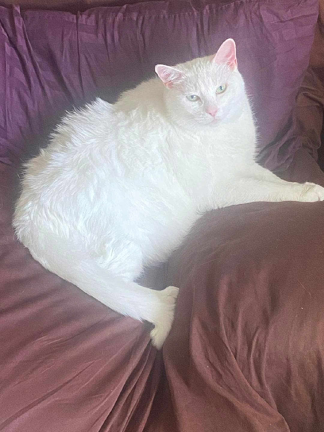 Pearl