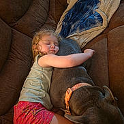 Ma'Kayla joined the competition — help win amazing prizes! child, toddler, sleeping, dog, pet, couch, sofa, blanket, nap, portrait, indoor, home, cozy, resting, companion, brown_dog, pink_shorts, gray_shirt, relaxed, photography