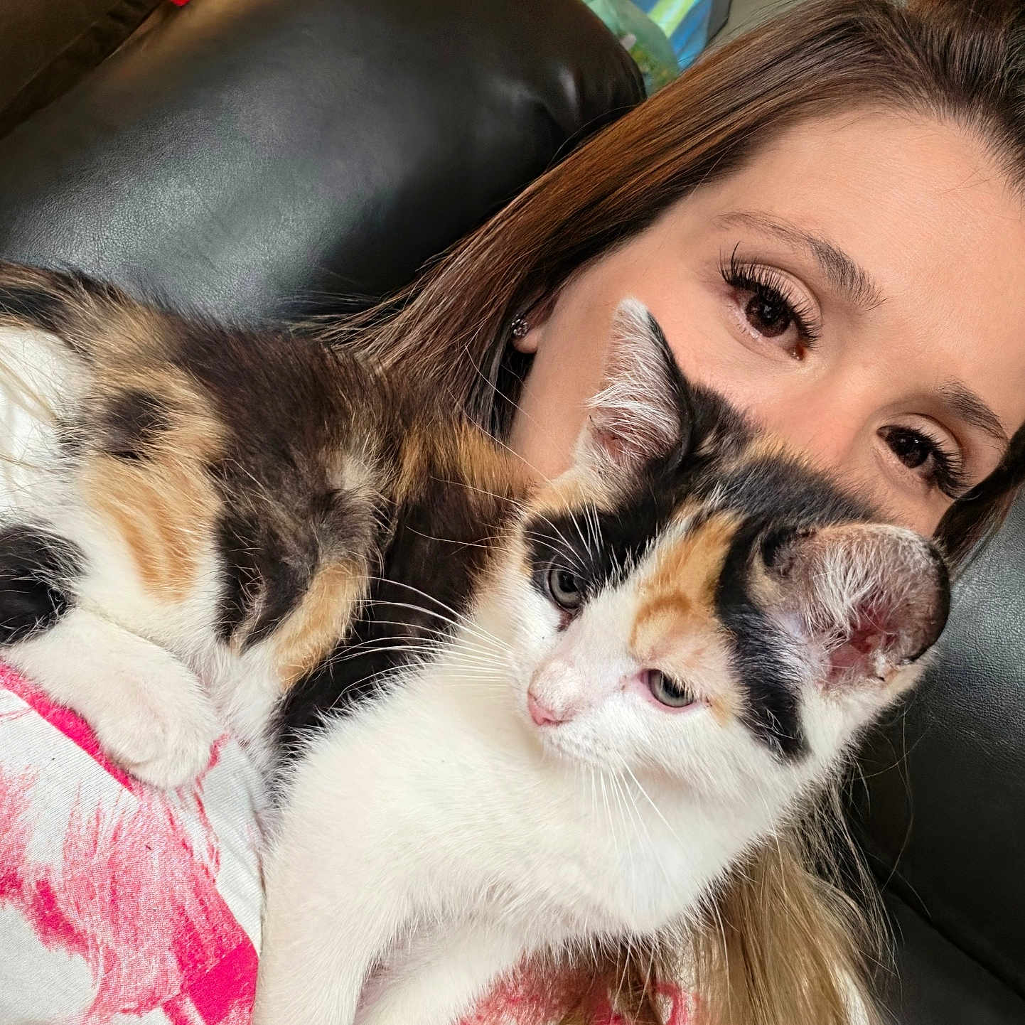 Cali is registered to the contest to win money with this photo: animal, calico, cat, closeup, couch, cozy, cute, domestic, face, fur, home, indoor, kitten, long_hair, person, pet, portrait, relaxing, snuggling, woman