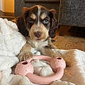 Maisy W.