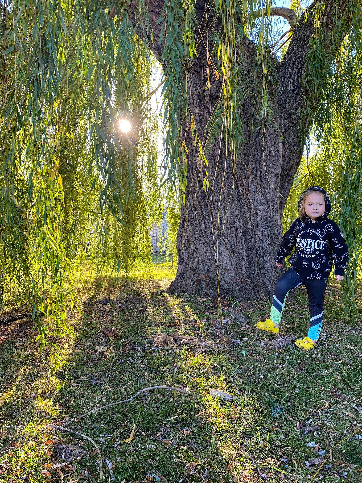 Sienna is registered to the contest to win money with this photo: biome, branch, deciduous, forest, grass, grassland, happy, landscape, leaf, natural_landscape, people_in_nature, person, plant, recreation, tints_and_shades, tree, trunk, twig, wood, woodland