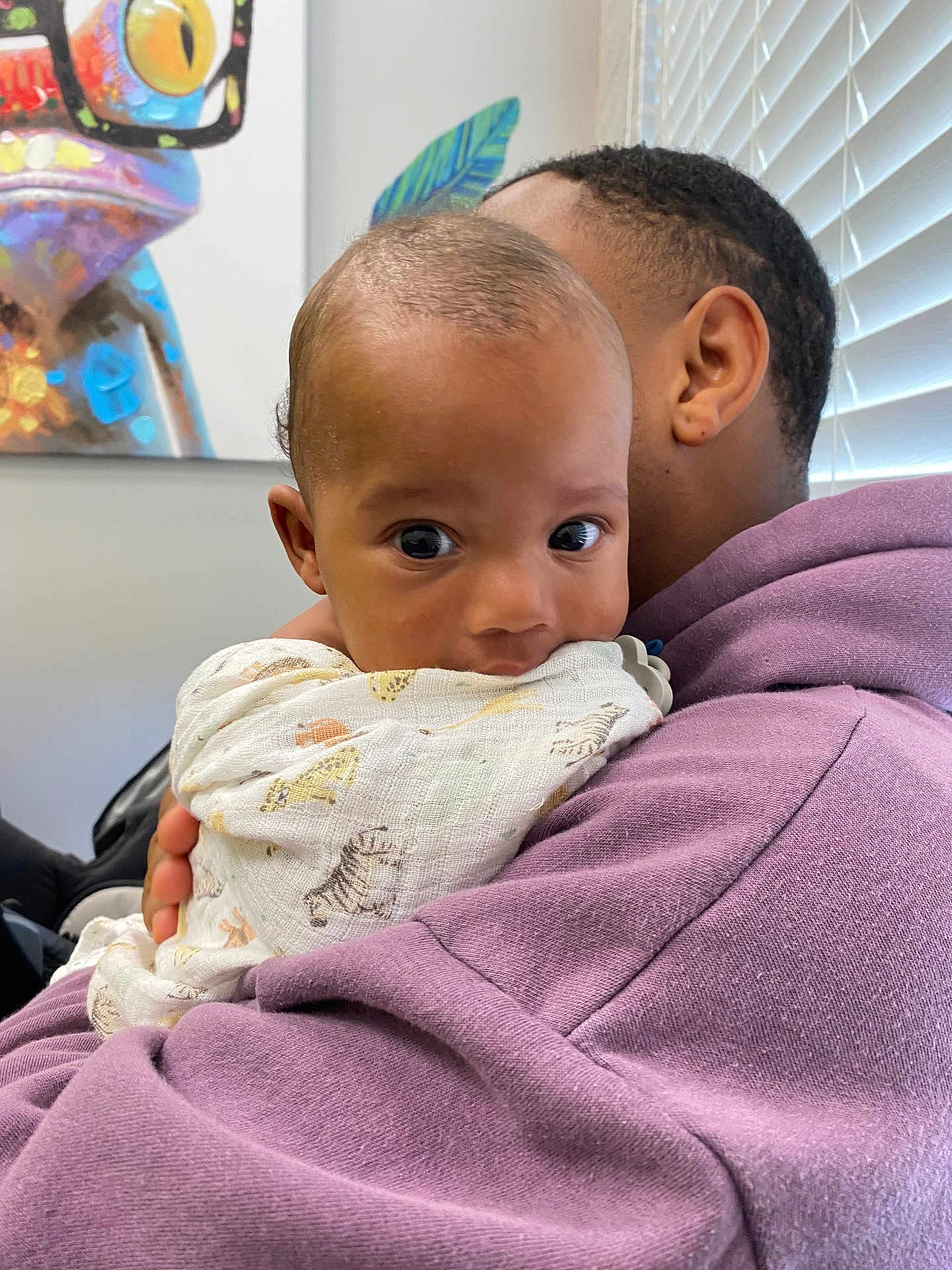 Lukas is registered to the contest to win money with this photo: baby, child, adult, hug, blanket, animal_print, purple_hoodie, indoor, window_blinds, painting, chameleon_art, face, eyes, curious, person, holding, portrait, closeup, skin, hand