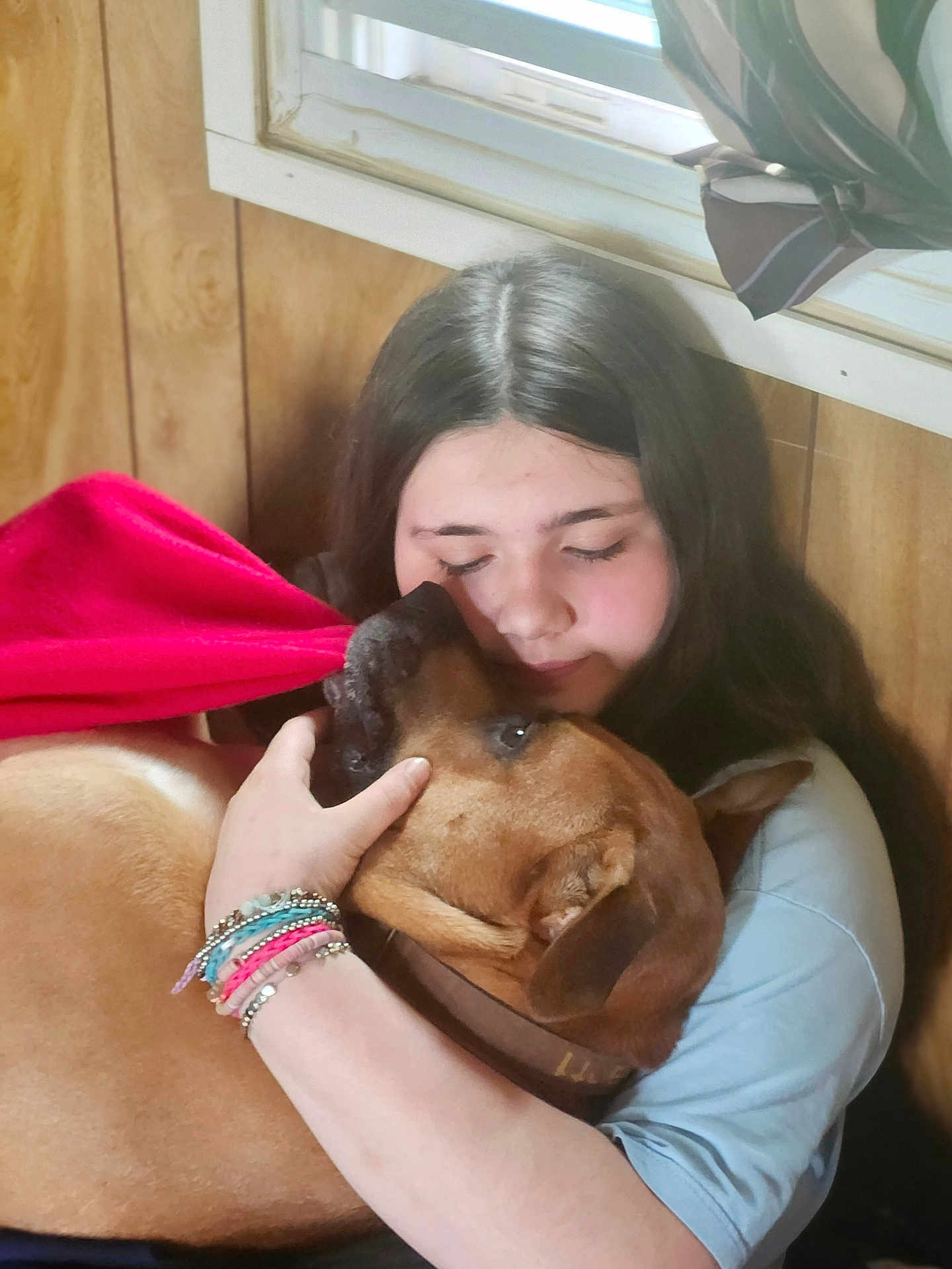 Rocko joined the competition — help win amazing prizes! girl, dog, hug, window, bracelet, wooden_wall, red_blanket, indoor, affection, pet, love, calm, comfort, closeup, young_person, casual_clothing, brown_dog, long_hair, natural_light, portrait