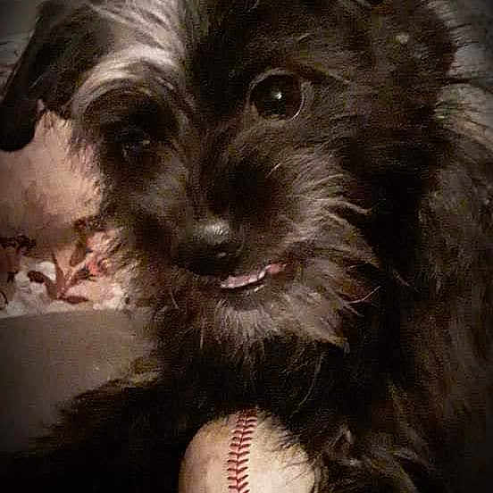 Sam