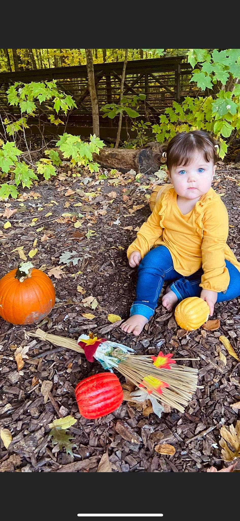 Adalynn is registered to the contest to win money with this photo: adaptation, baby_toddler_clothing, botany, calabaza, cucurbita, facial_expression, gourd, grass, natural_foods, nature, orange, people_in_nature, person, plant, pumpkin, squash, toddler, tree, vegetable, winter_squash