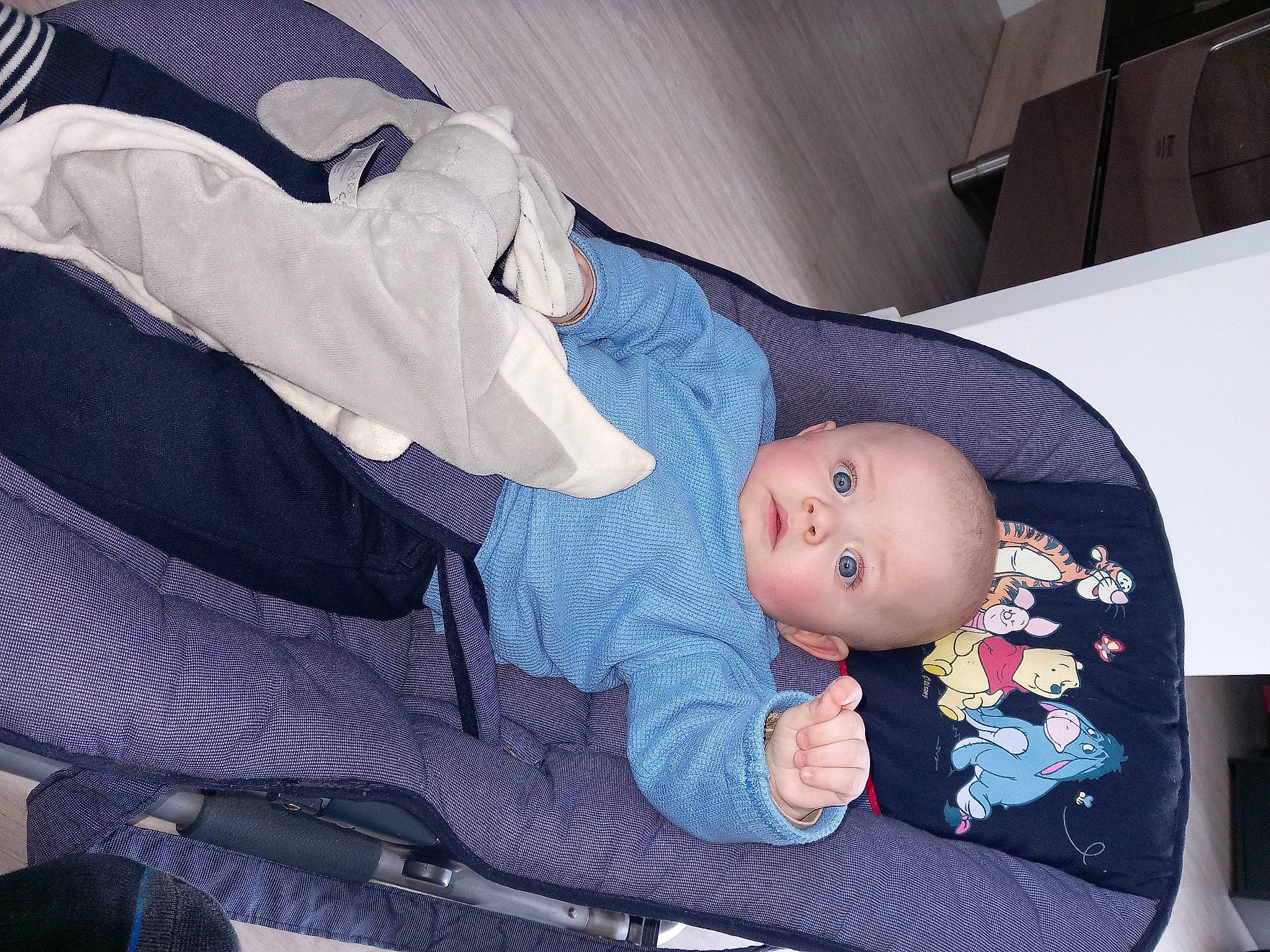 Tom participe au concours pour gagner de l'argent avec cette photo : auto_part, baby, baby_carriage, baby_in_car_seat, baby_products, baby_safety, baby_toddler_clothing, car_seat, cheek, child, comfort, hat, lap, person, sitting, smile, toddler, tree