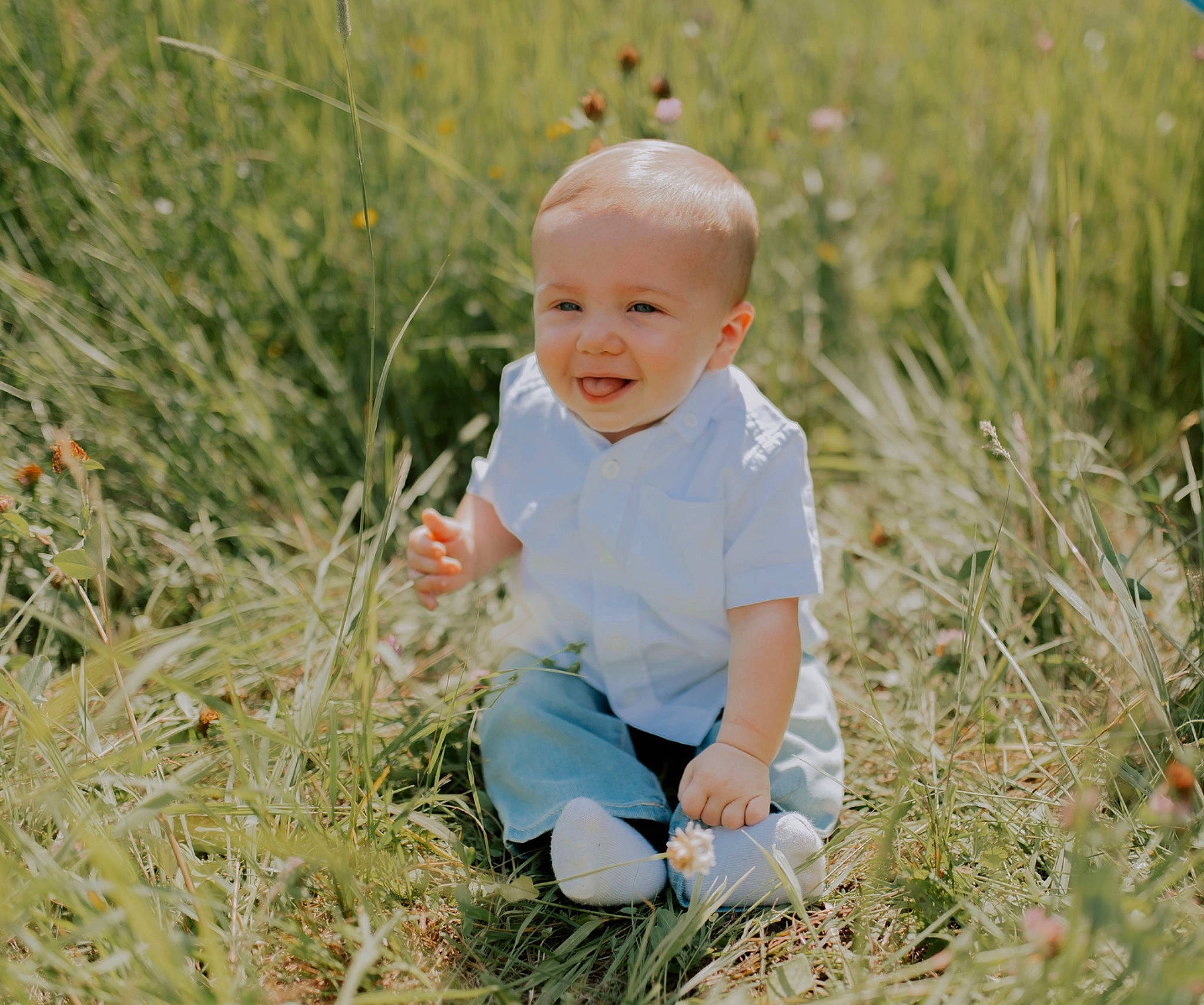 Liam joined the competition — help win amazing prizes! baby, baby_toddler_clothing, child, eye, field, fun, grass, grass_family, grassland, happy, joy, landscape, laugh, meadow, people_in_nature, person, plant, playing_with_kids, prairie, sitting