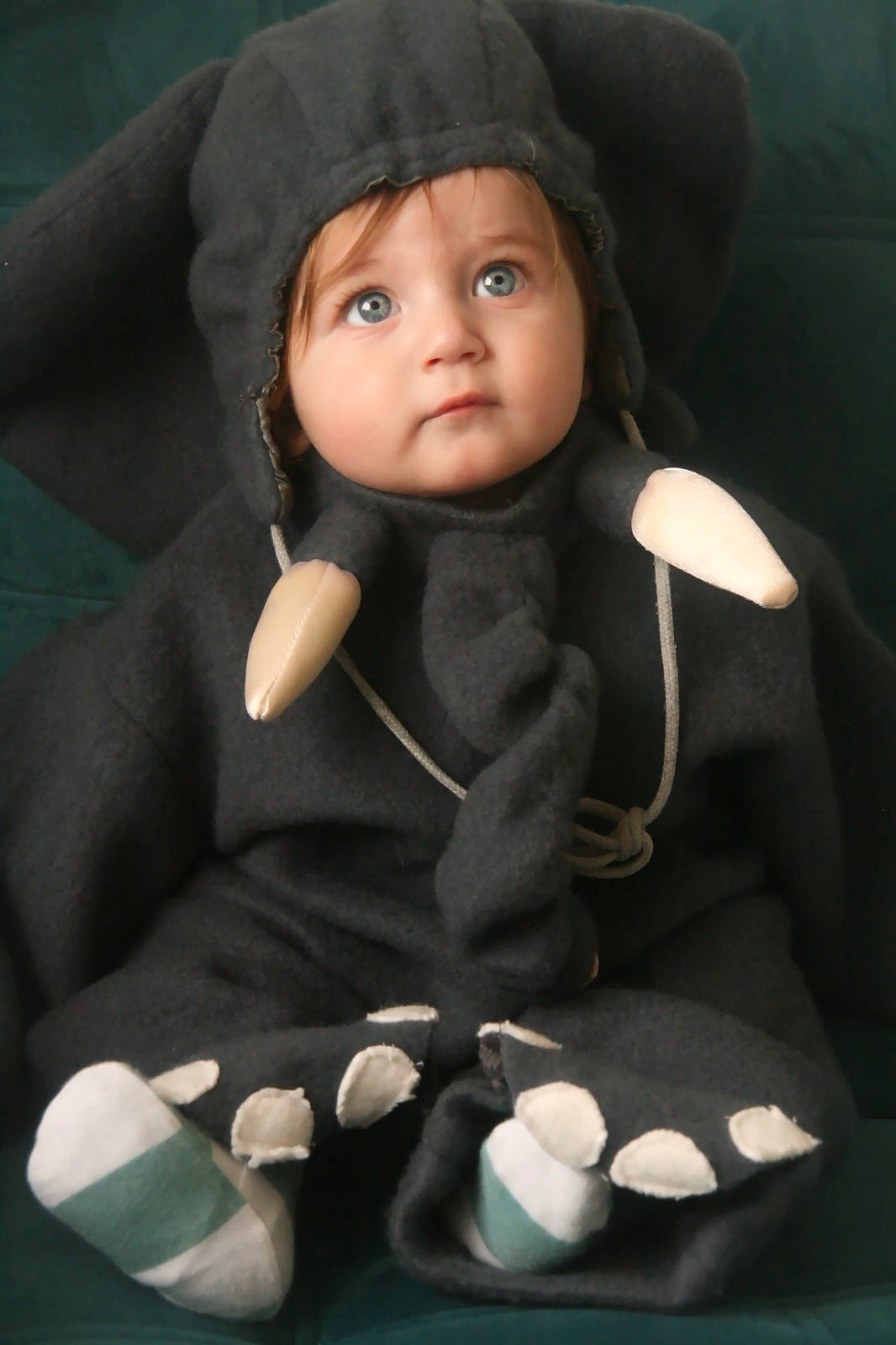 Isaac participe au concours pour gagner de l'argent avec cette photo : baby, black, cap, cheek, comfort, doll, eye, facial_expression, flash_photography, fur, headgear, headwear, lip, person, photograph, sitting, snapshot, textile, toddler, toy