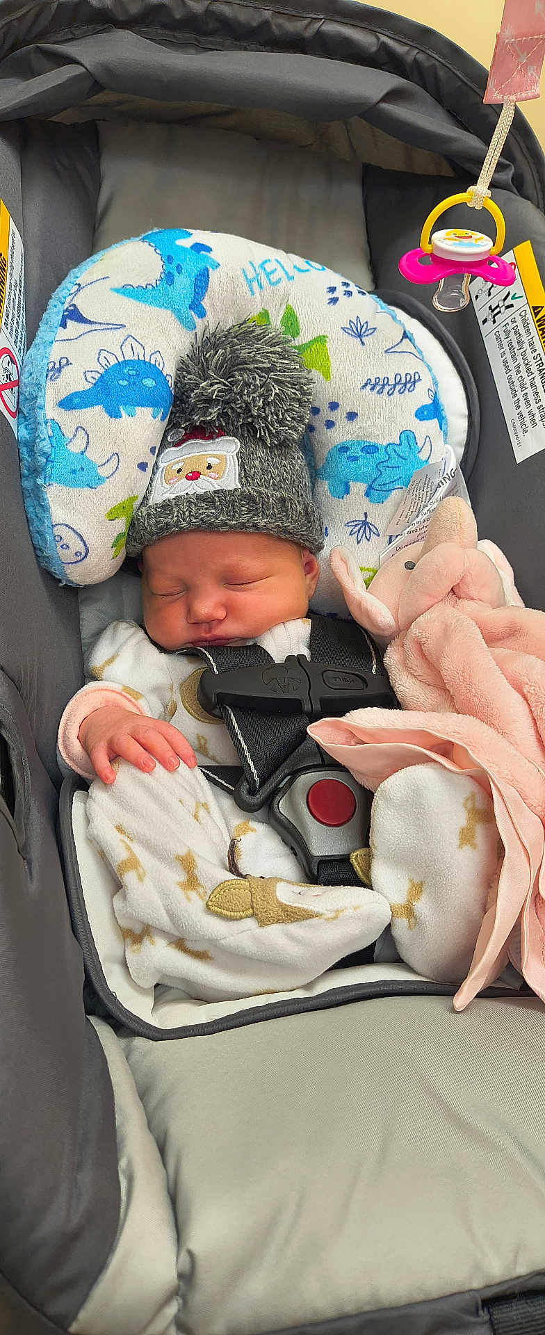 Margaret Hamilton joined the competition — help win amazing prizes! baby, sleeping, hat, pom_pom, car_seat, blanket, plush_toy, elephant, pajamas, infant, child, cute, cozy, safety_harness, soft, indoors, peaceful, resting, newborn, comfort