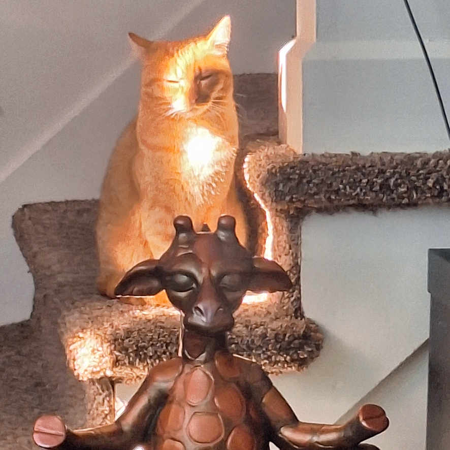 Trashy is registered to the contest to win money with this photo: animal, calm, carpeted_stairs, cat, decor, feline, giraffe_statue, home_interior, indoor, light, meditation_pose, orange_cat, ornament, peaceful, pet, quiet, relaxation, shadow, statue, sunlight