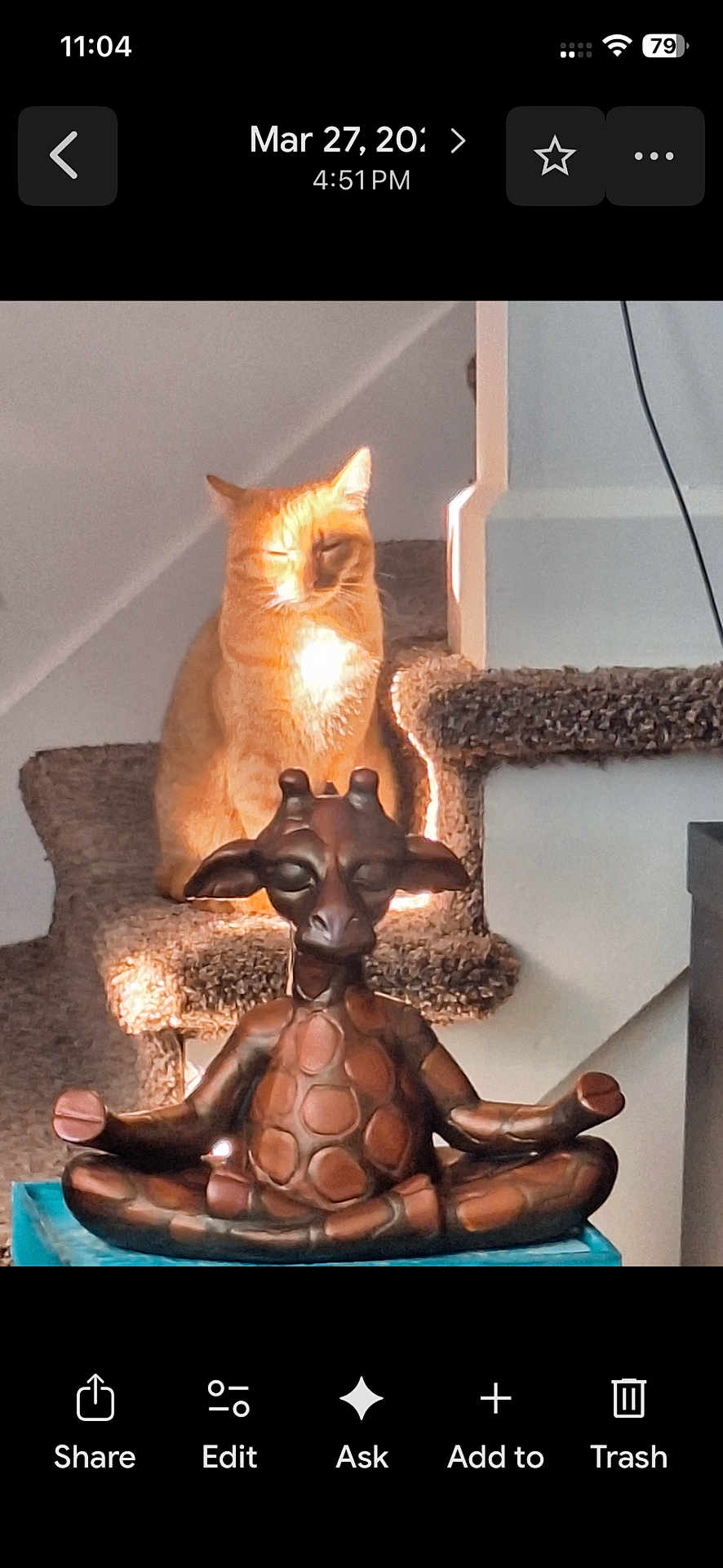 Trashy is registered to the contest to win money with this photo: animal, calm, carpeted_stairs, cat, decor, feline, giraffe_statue, home_interior, indoor, light, meditation_pose, orange_cat, ornament, peaceful, pet, quiet, relaxation, shadow, statue, sunlight
