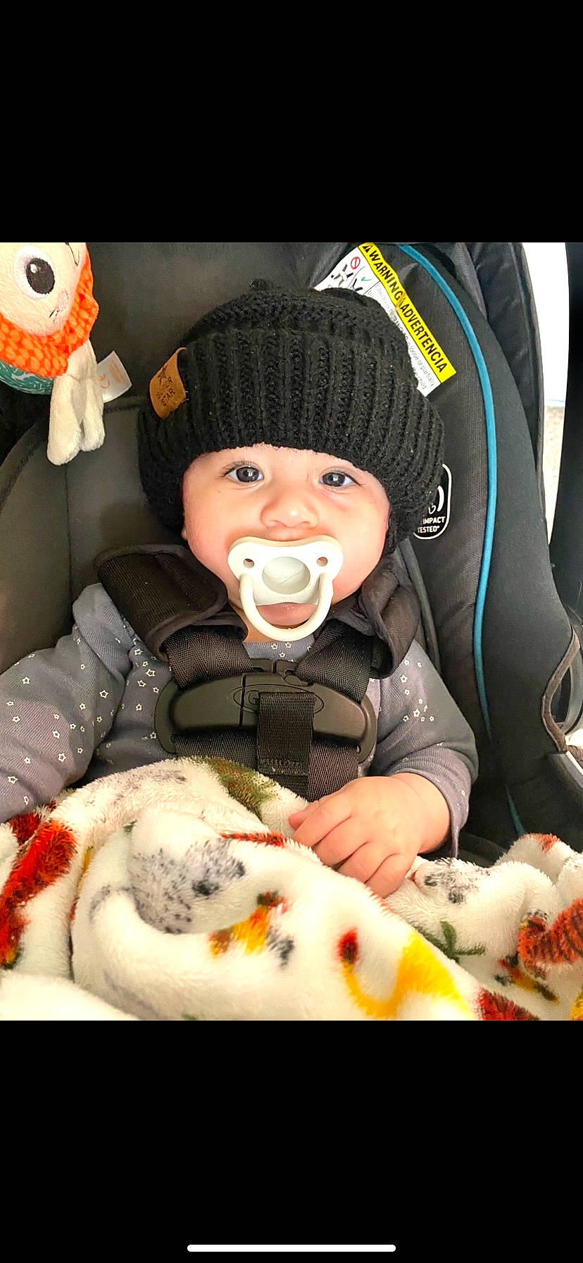 Emilio joined the competition — help win amazing prizes! baby, baby_products, baby_toddler_clothing, cap, cheek, child, comfort, eye, facial_expression, fur, headwear, knit_cap, mammal, outerwear, person, product, skin, stuffed_toy, textile, toddler